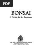 Bonsai Guide For The Beginner