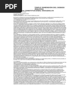 Triple dimensión del debido proceso.doc