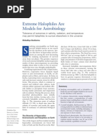 Download A report on  Microbes by Taha Assadi SN232902213 doc pdf