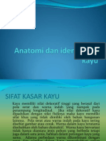 Anatomi Dan Identifikasi Kayu