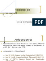 Clase10 - Sistema Nacional de Pensiones (19990)