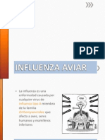 Influenza aviar