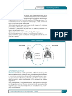 Sistema Respiratorio