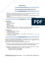 PRACTICA #5 Plasmodium