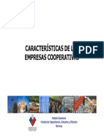 Caracteristicas de Cooperativas