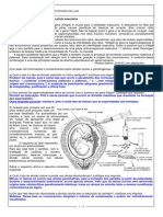 Gabarito Exercícios Divisão Celular