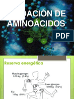 Oxidación de Aminoácidos