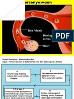 Persenyawaan Dan Kehamilan