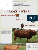 Razas