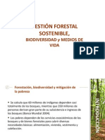 Gestion forestal sostenible.ppt