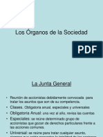 Organos Sociedad