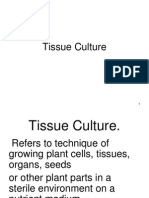 Tissue Cultures