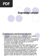 Suprafata celulei
