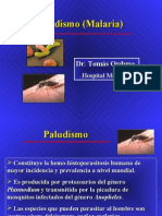 Paludismo Pregrado - Dr. ORDUNA