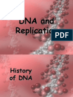 DNA Replication1