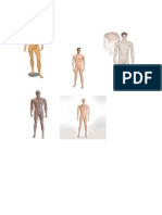 Male Maniquens