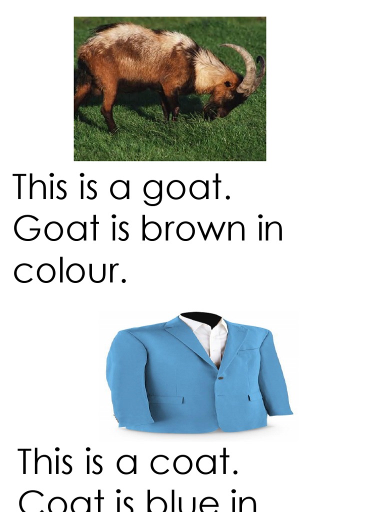 This Is A Goat. Goat Is Brown in Colour | PDF