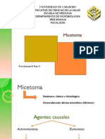 Micetomas y Eumicetomas