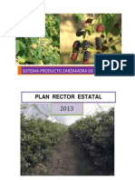 Plan Rector Zarzamora 2013