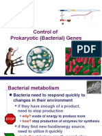 Control of Prokaryotic (Bacterial) Genes