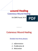 Wound Healing Stages and Factors Affecting Fracture Repair