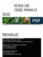 71 Plantas Renisus