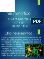 Chip Neuromórfico