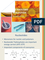 Metabolisme Nukleotida