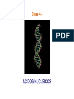 Acidos Nucleicos Clase 4