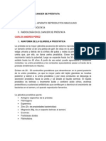 Radiología en El Cancer de Próstata