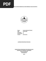Download Identifikasi mikroalga by Annisa Dwinda F SN233128552 doc pdf