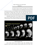 Migrasi, Diferensiasi, Dan Aspek Genetik Neural Crest