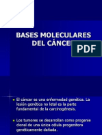 Bases Moleculares Del Cáncer