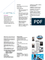 Triptico de Infografia