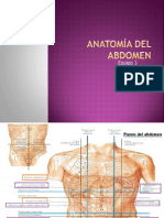 Anatomia Del Abdomen Equipo 3