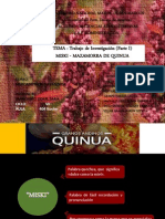 Mazamorra de Quinua