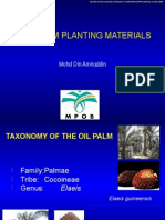 Oil Palm Planting Materials: Mohd Din Amiruddin