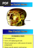 Download Facial Nerve by Deepti shastri SN23316786 doc pdf