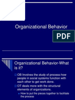 Organizational Behavior 