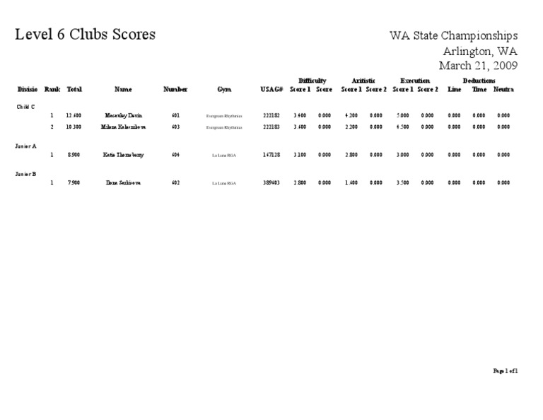 Level 6 Clubs Report | PDF