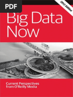 Big Data Now 2013