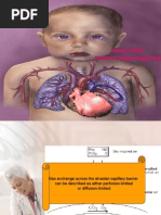 Hanan Fathy Pediatric Nephrology Unit