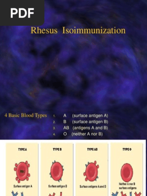 Rh Isoimmunization Blood Type Fetus