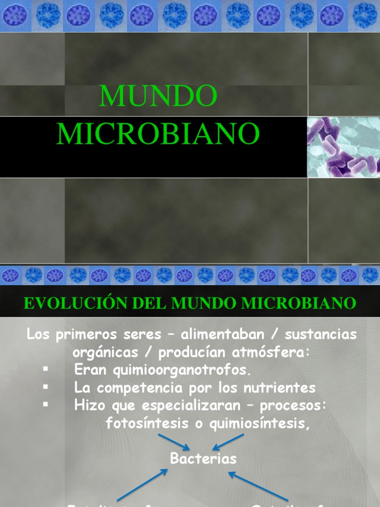 MUNDO MICROBIANO CLASE 2.ppt | Archaea | Las bacterias