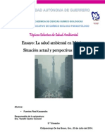 Ensayo TSSA-Salud Ambiental en México