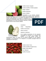 Frutas Del Ecuador