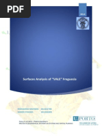 report gs flup msigot 201301009  201301705