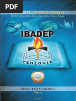 179889308 Profetas Menores IBADEP