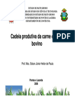 Microsoft PowerPoint - Cadeia Produtiva Da Carne e Couro Bovino_Edson_2008_2