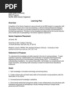 bsn learning plan senior capstone